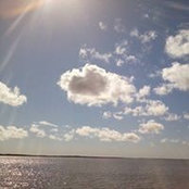 Mylene Grimm's photo