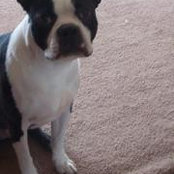 Vicki Hall's photo