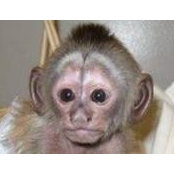 Thomas Caise's photo