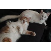 Peggy Irelan's photo