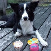 Margo Fournier's photo
