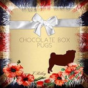 Sharon Riley's photo