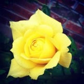 Celina Bianco's photo