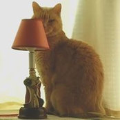 Beverly Armstrong's photo