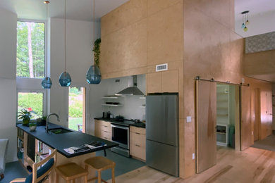 Kitchen - modern kitchen idea in Boston