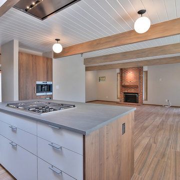 Sunnyvale Eichler Style Whole House Remodel - Kitchen