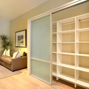 Frosted Glass Closet Doors Houzz   8ed11967043d1b29 0795 W312 H312 B0 P0  Modern Spaces 