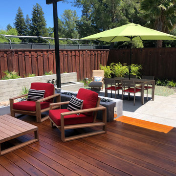 Ynez Mid Century Modern Rancher