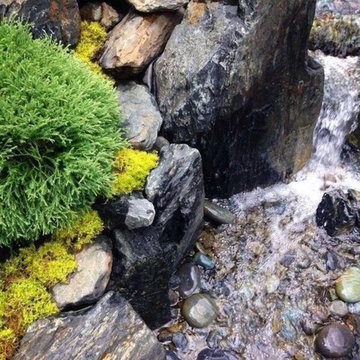 Zen Living