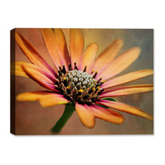 Most Por Tropical Outdoor Wall Art For 2018 Houzz New Arrivals