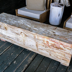 Petrified Wood Online Store - Products