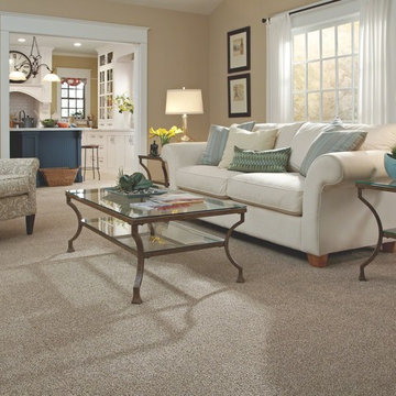 Wall-to-Wall Carpeting
