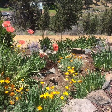Hot Spot Garden Design