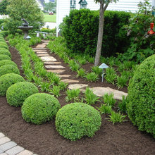 front walkway planting