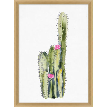 Pink Blooming Cacti 3