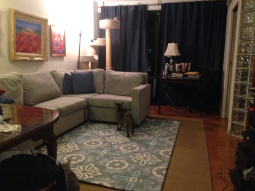 Light Grey Sofa And Blue Curtains, Matching Rug Curtains And Cushions