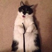 June Bell's photo
