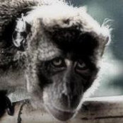 Karrglas AGs foto
