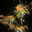 Evening Glow Outdoor Lighting and Audio