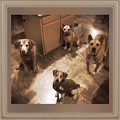 Donna Wade's photo