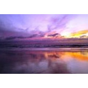 Linda Chase-Calef's photo