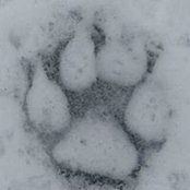 Paula Lubas's photo