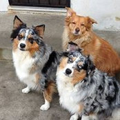 Dave Rikimaru's photo