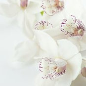 Shaheena Joomun's photo