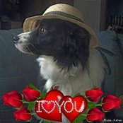 Gabby Savage's photo