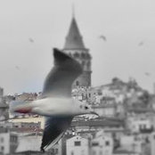 Foto von Meryem Alp