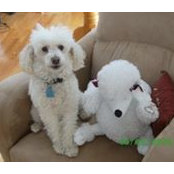Paula Polito's photo