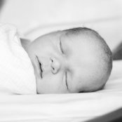 Lizz VanTornhout's photo