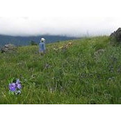 Foto de Knut Hill