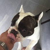 Al Cher's photo