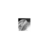 john kennnedy's photo