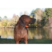 Anne Kyzer's photo
