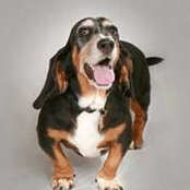 Greg Thomisee's photo