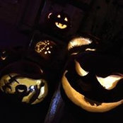 Christine Holpuch's photo