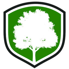 M & M Tree Service