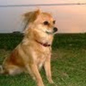 stephanie hickey's photo