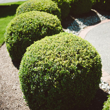 Green Thumb Landscape Work
