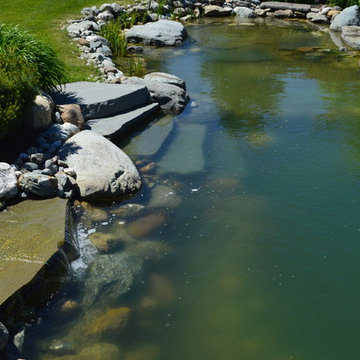 Vermont Natural Swimming Pond