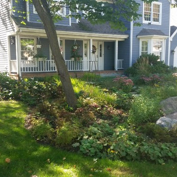 Rockford mulch-less front yard