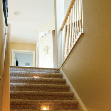 Basement Stairs