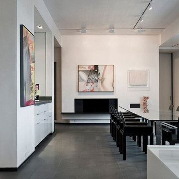 Art Collector's Home
