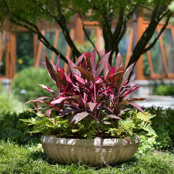 Vibrant Surroundings