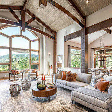 Living & Family Room Designs