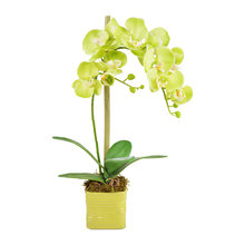 vase