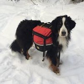 Jill Brekken's photo