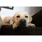Foto von Maggie Alerding